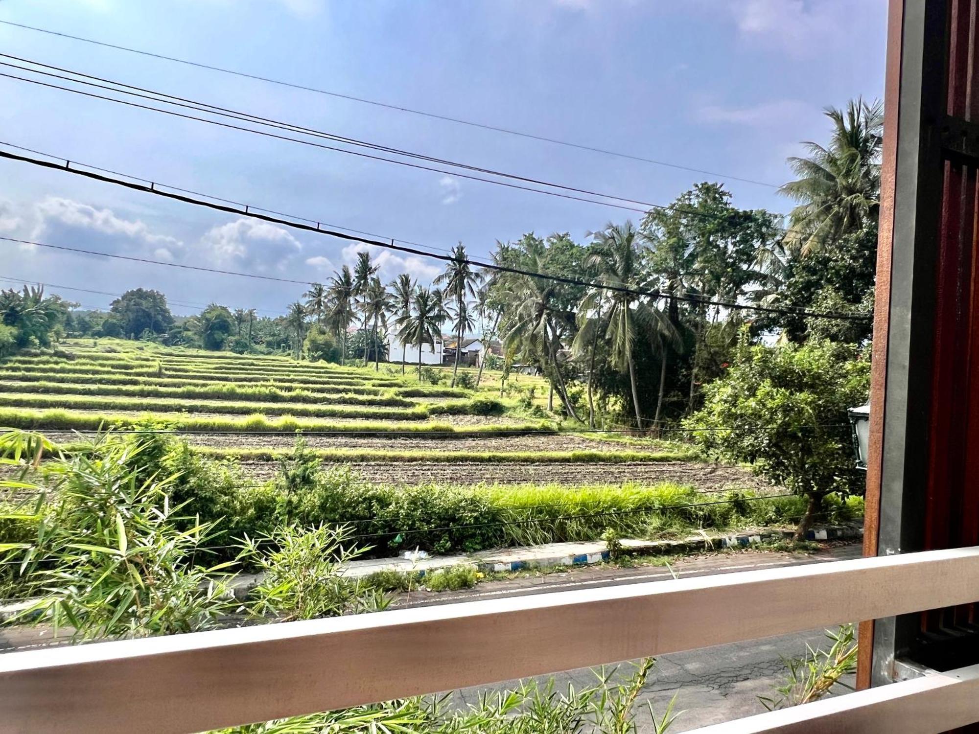Paddyview By Zzz Hostel Banyuwangi  Bagian luar foto