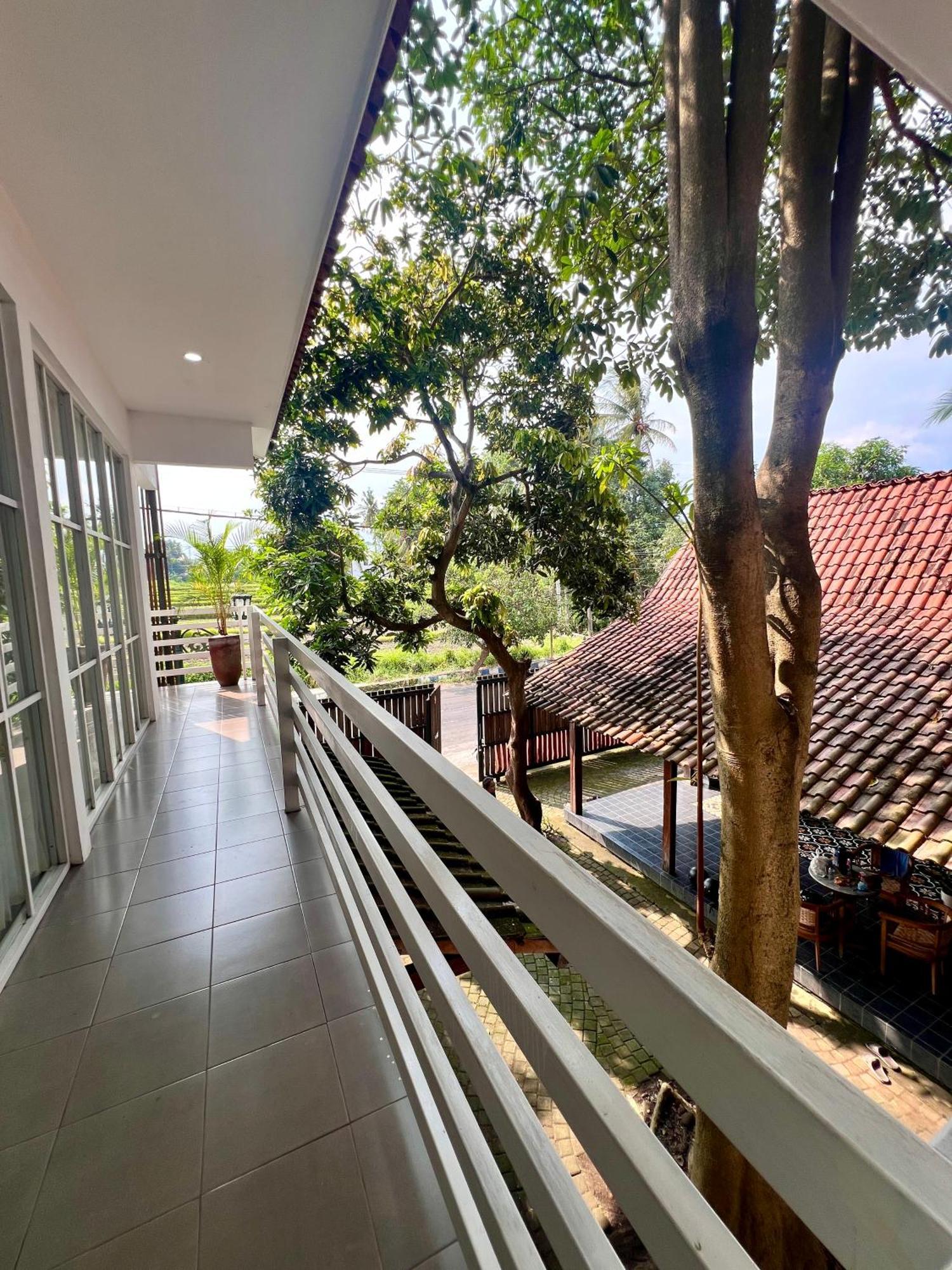 Paddyview By Zzz Hostel Banyuwangi  Bagian luar foto
